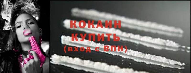 Кокаин Fish Scale  купить наркотик  MEGA зеркало  Дятьково 